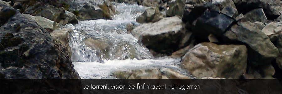 Les Torrents des Alpes